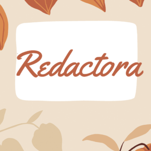 Redactor o redactora SEO